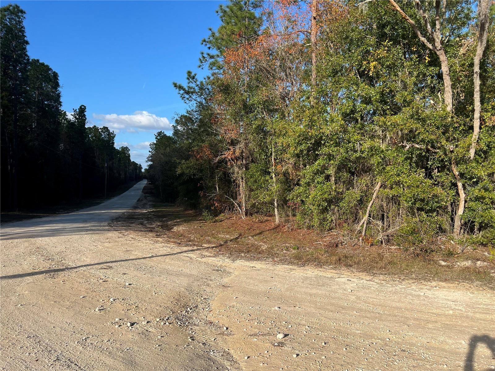 12251 NE 91 CT, ARCHER, FL, 32618