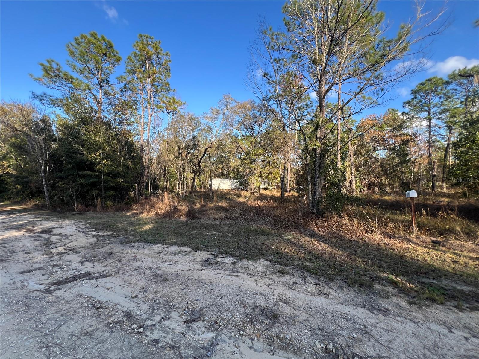 12251 NE 91 CT, ARCHER, FL, 32618