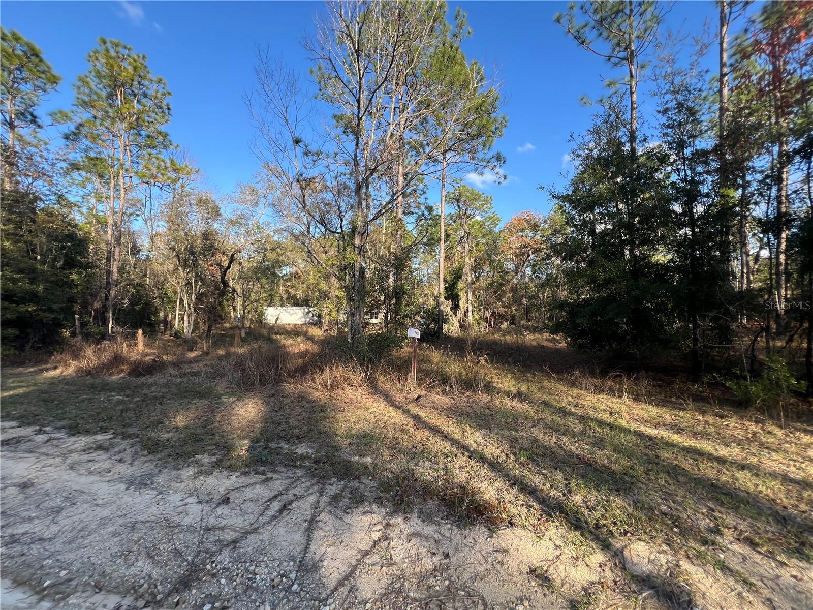 12251 NE 91 CT, ARCHER, FL, 32618