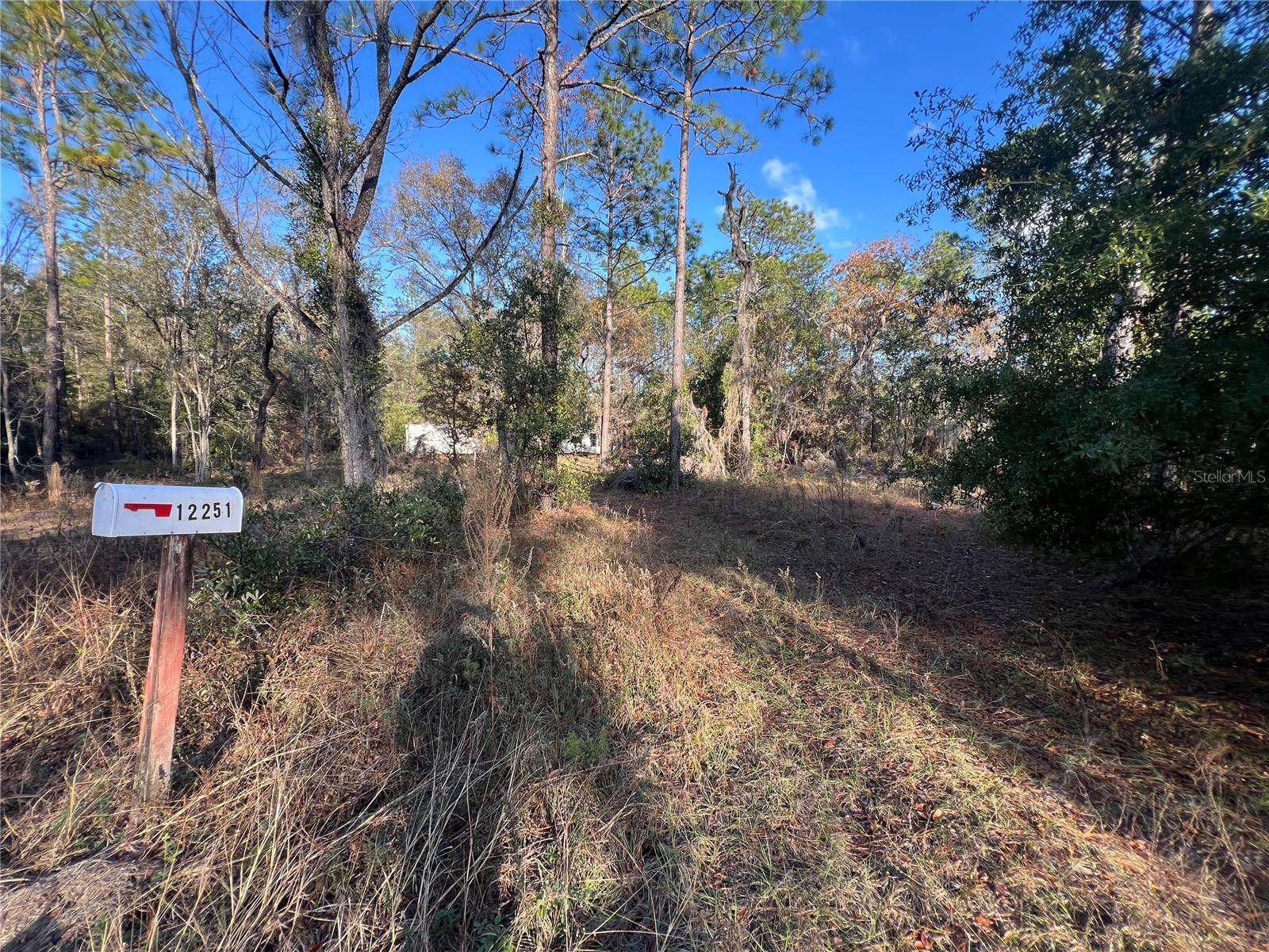 12251 NE 91 CT, ARCHER, FL, 32618