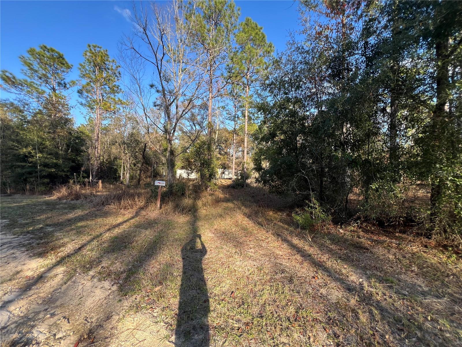 12251 NE 91 CT, ARCHER, FL, 32618