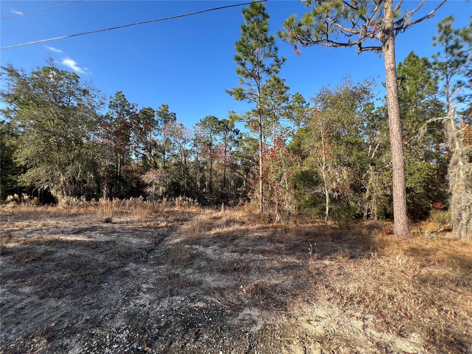 12251 NE 91 CT, ARCHER, FL, 32618