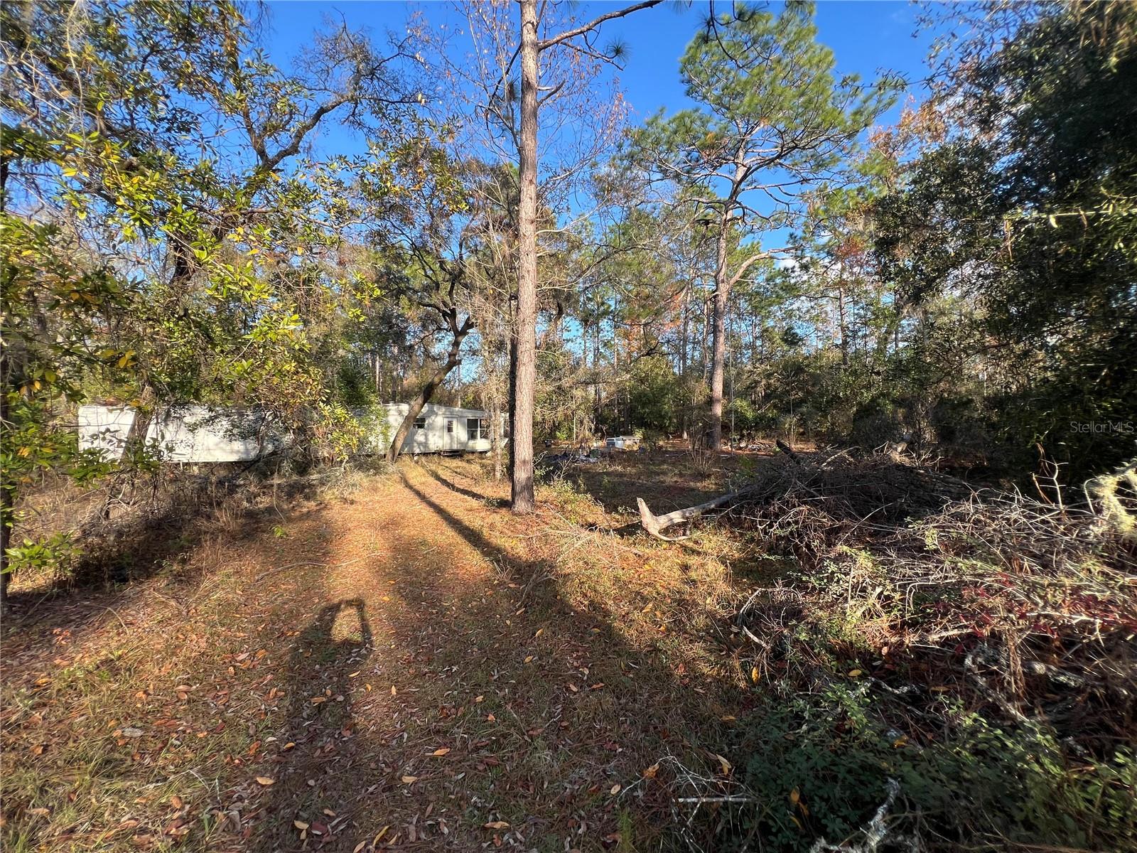 12251 NE 91 CT, ARCHER, FL, 32618
