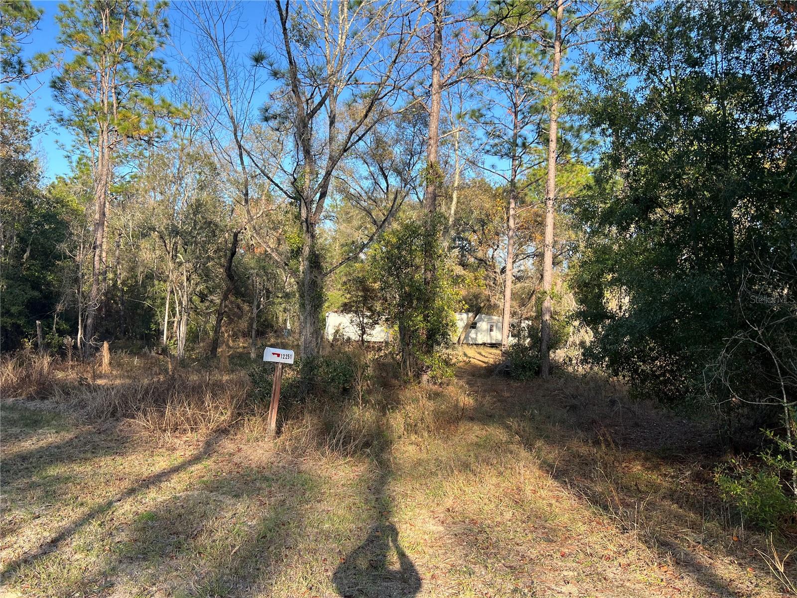 12251 NE 91 CT, ARCHER, FL, 32618
