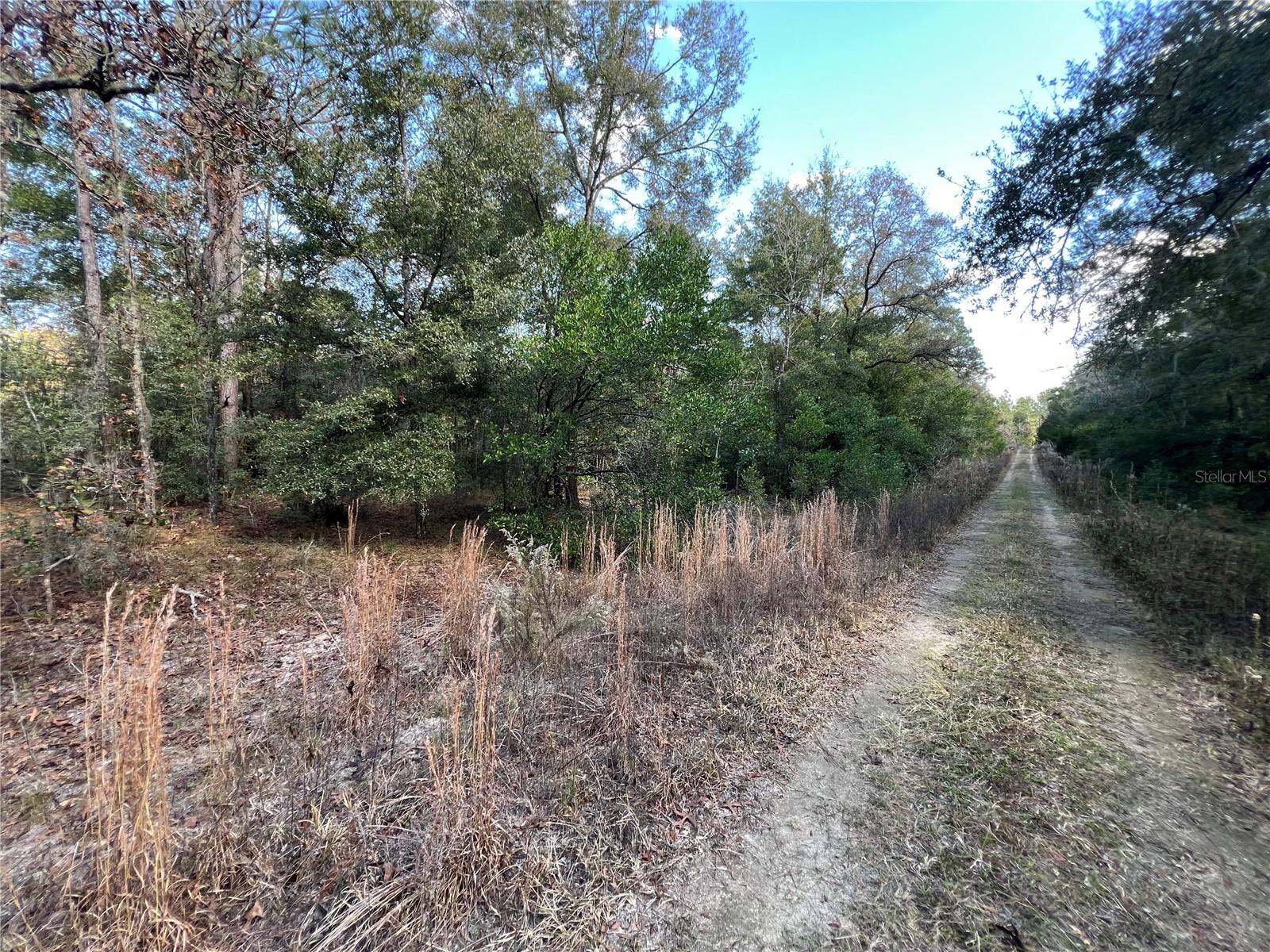 NE 12 LN, WILLISTON, FL, 32696