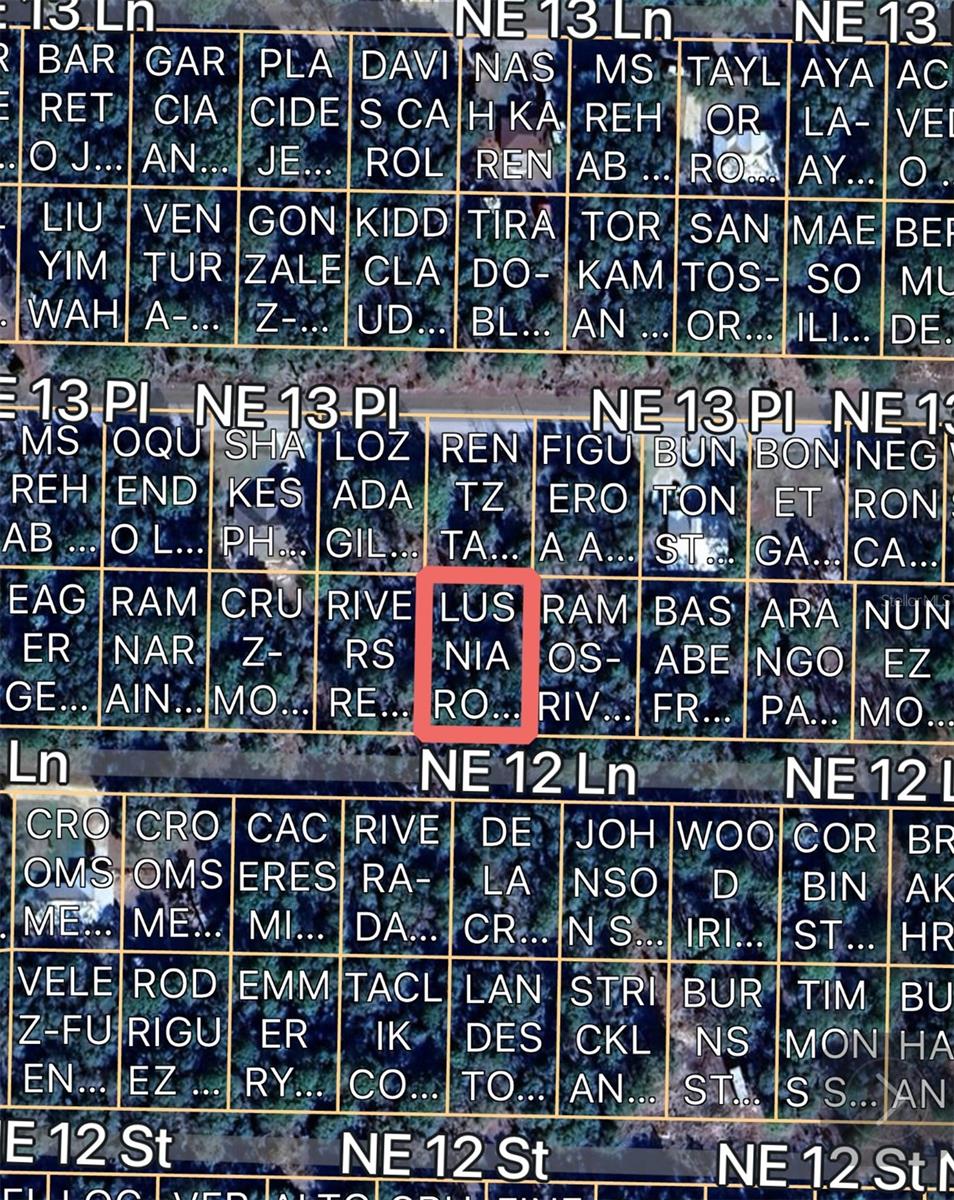 NE 12 LN, WILLISTON, FL, 32696