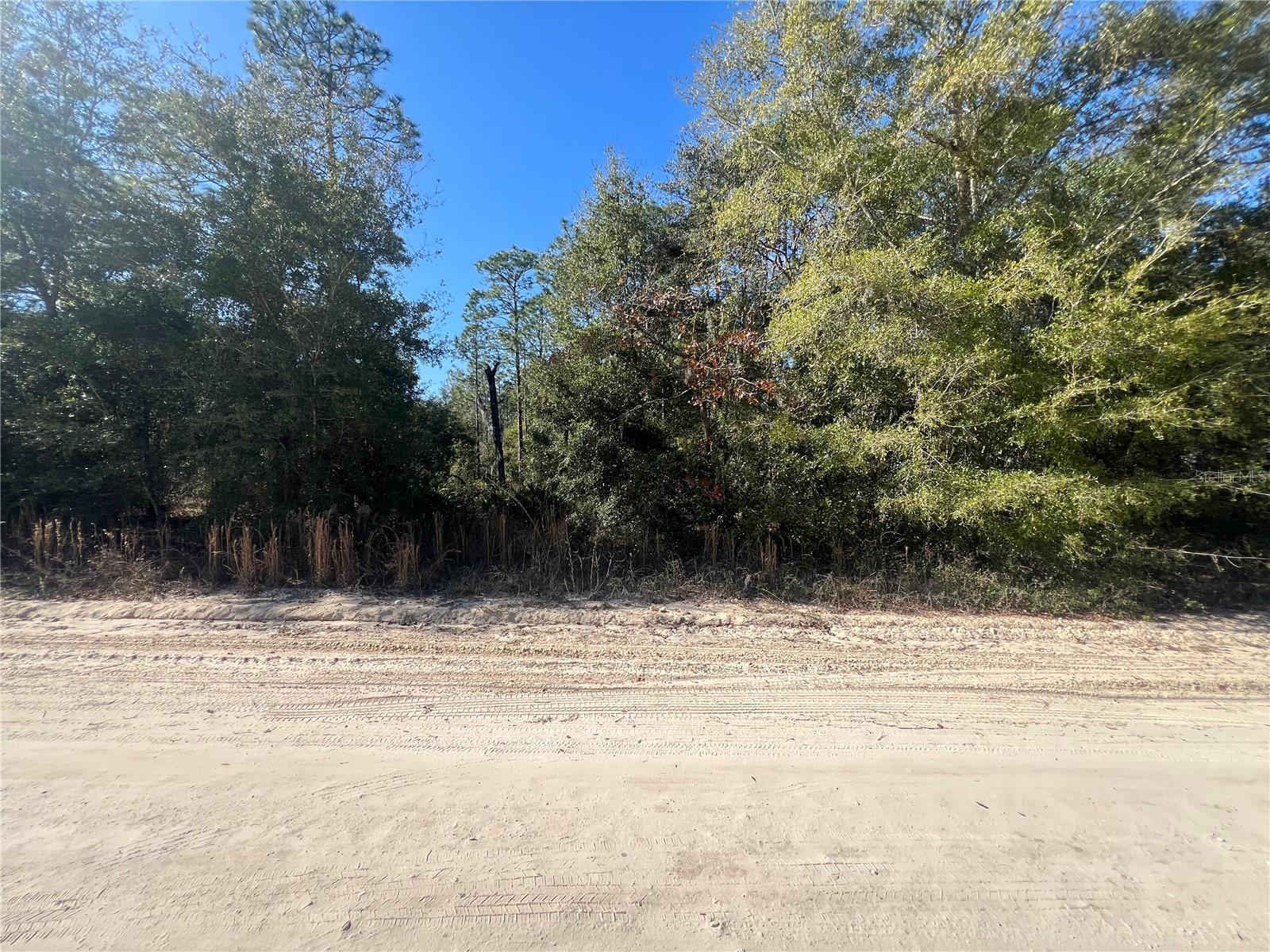 NE 142 AVE, WILLISTON, FL, 32696