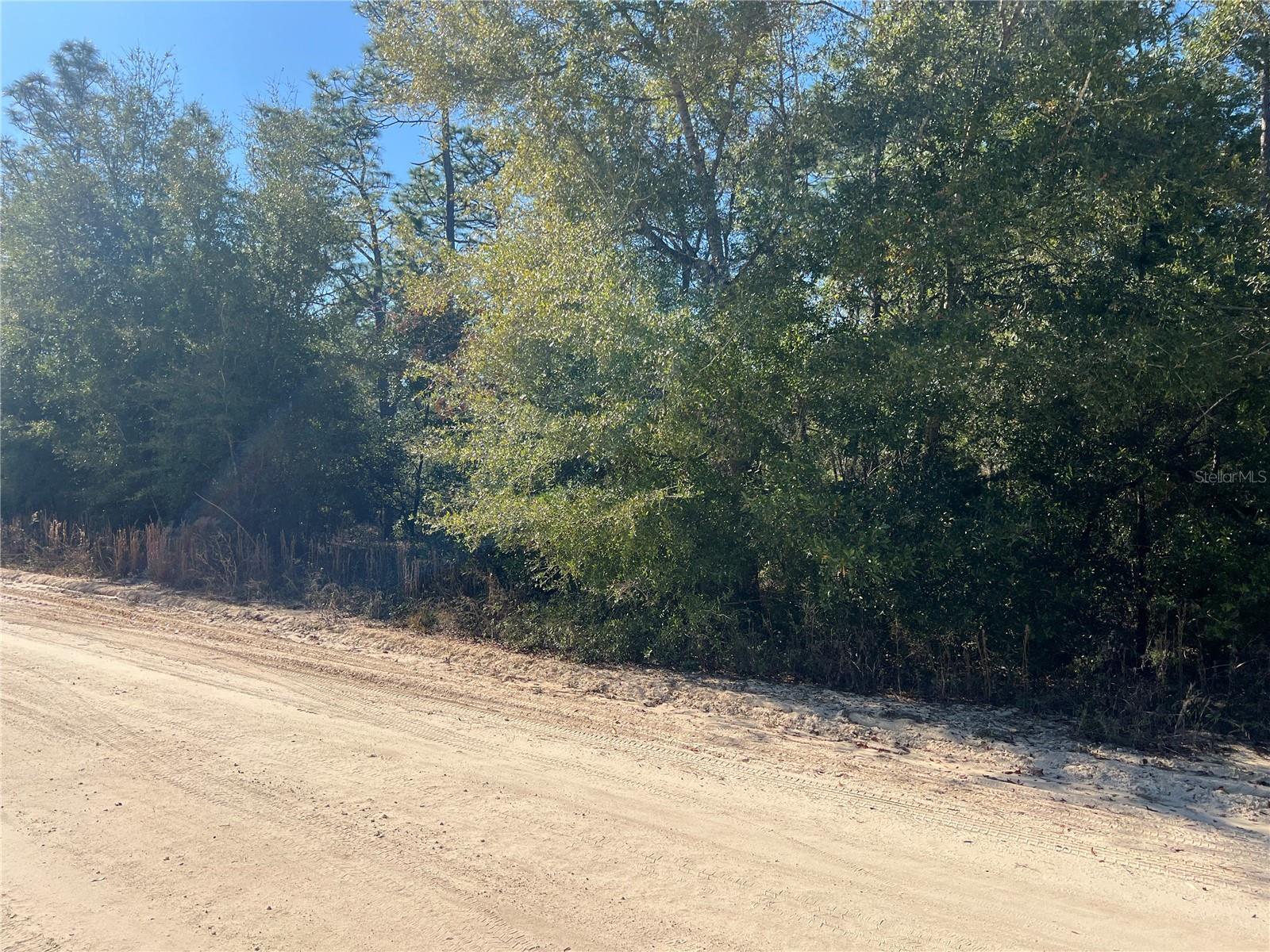 NE 142 AVE, WILLISTON, FL, 32696