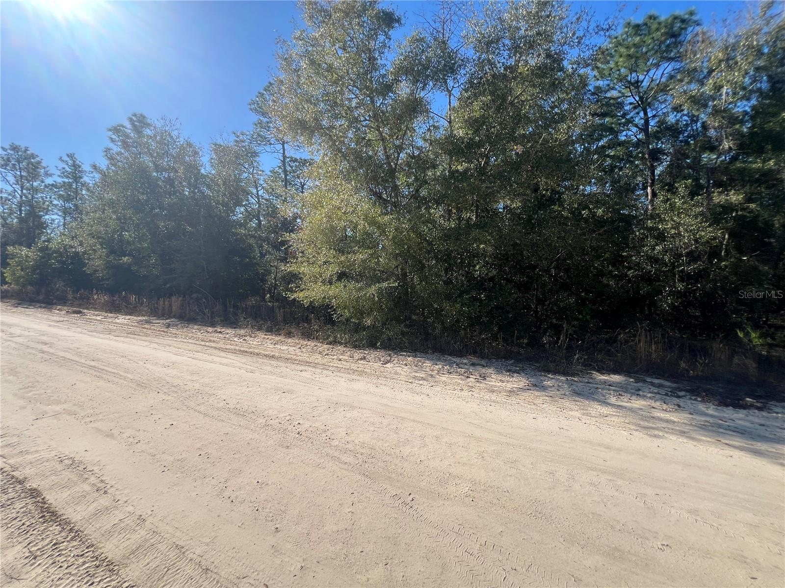 NE 142 AVE, WILLISTON, FL, 32696