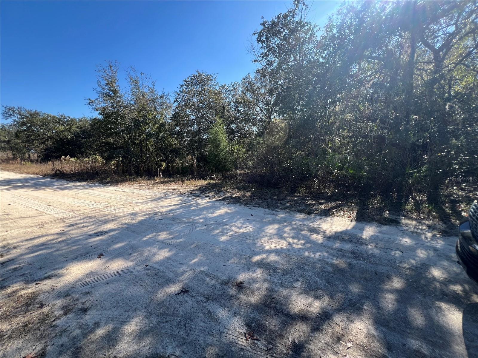 NE 62 LN, WILLISTON, FL, 32696