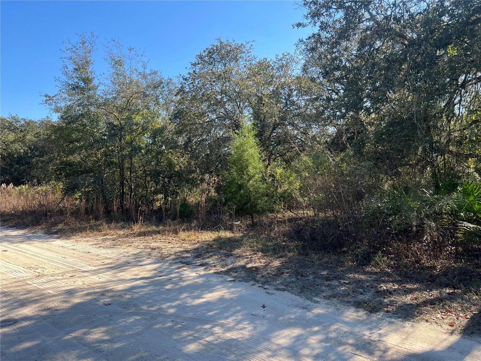 NE 62 LN, WILLISTON, FL, 32696