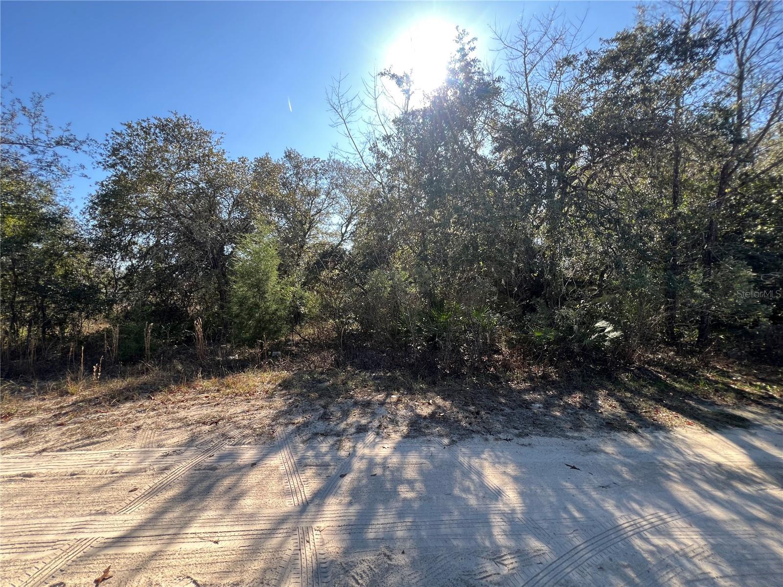 NE 62 LN, WILLISTON, FL, 32696
