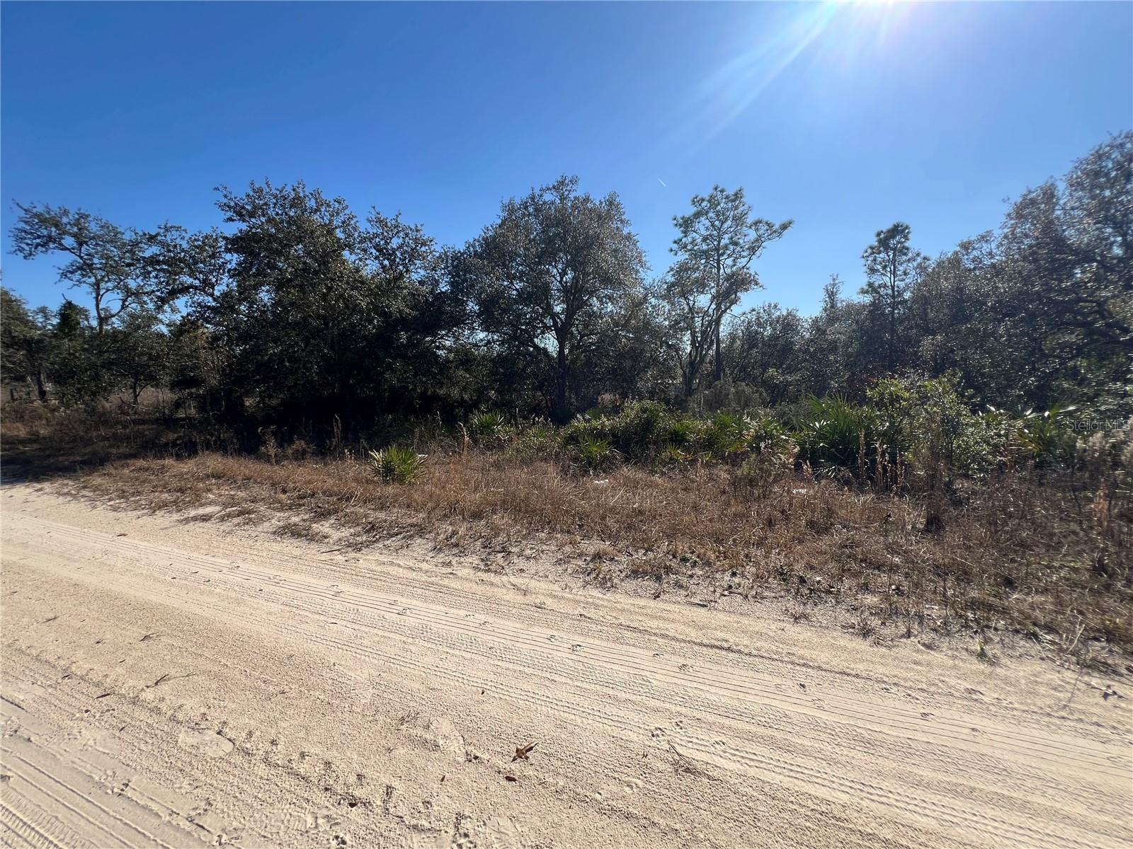 NE 62 LN, WILLISTON, FL, 32696