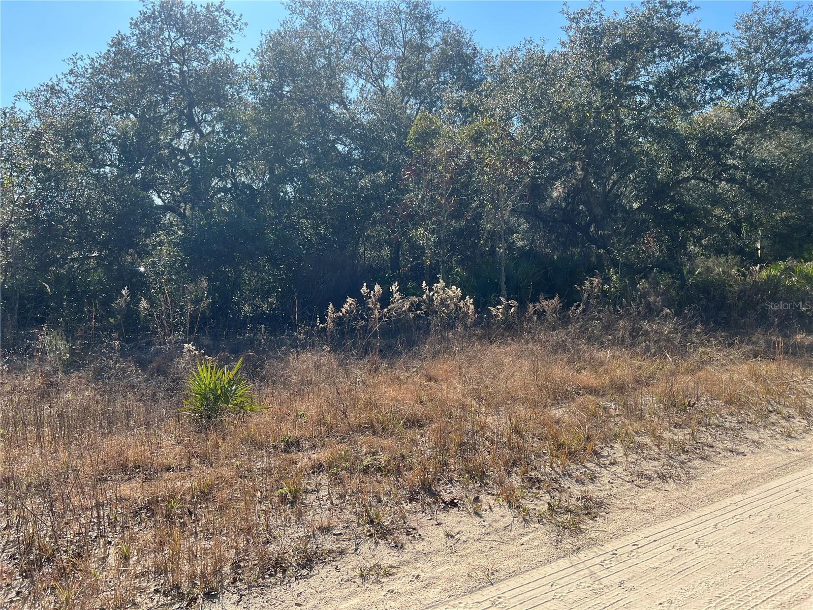 NE 62 LN, WILLISTON, FL, 32696