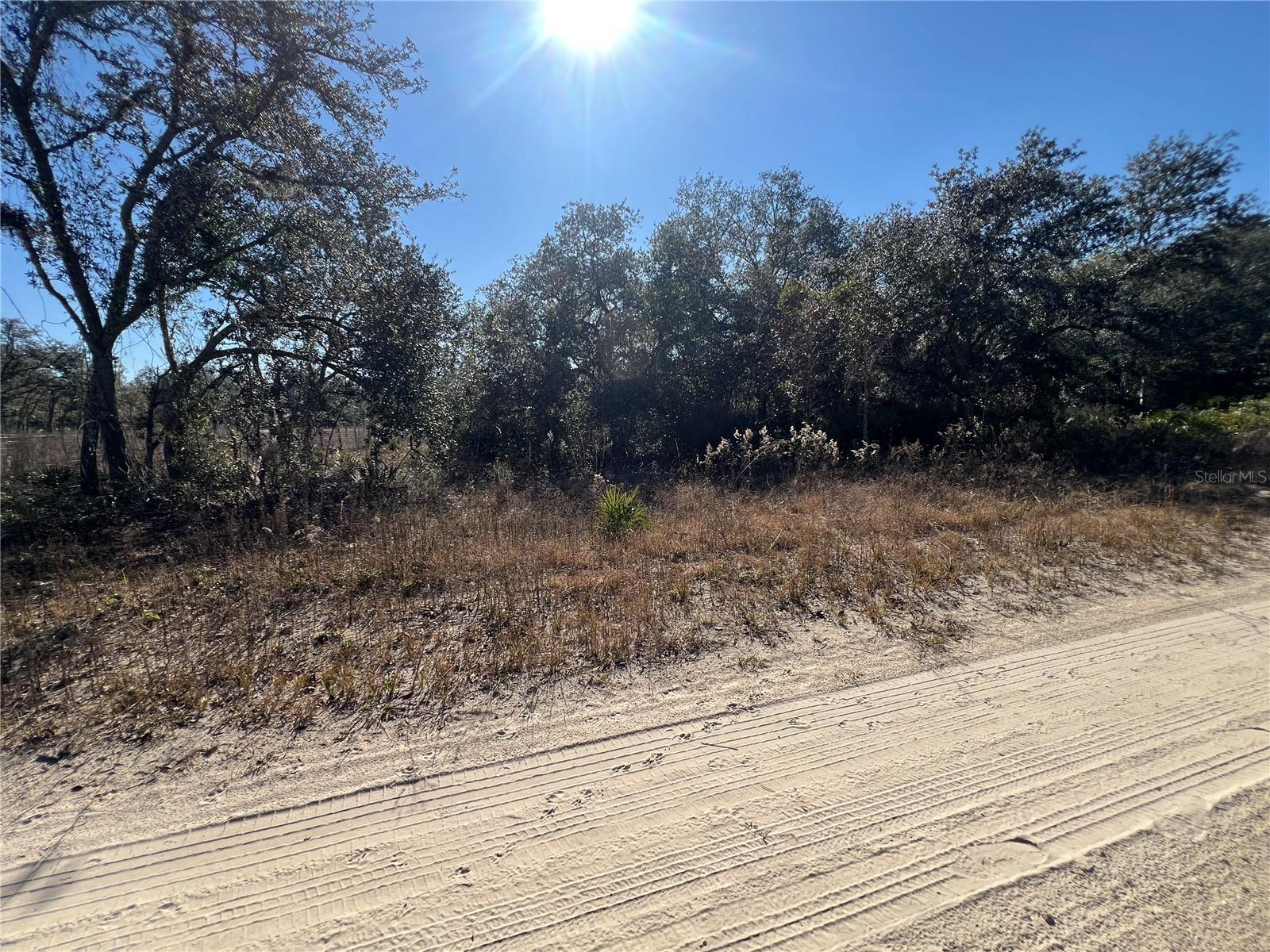 NE 62 LN, WILLISTON, FL, 32696