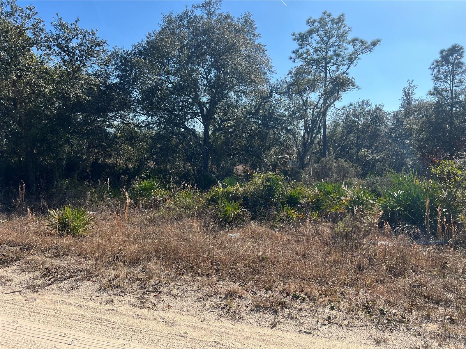 NE 62 LN, WILLISTON, FL, 32696