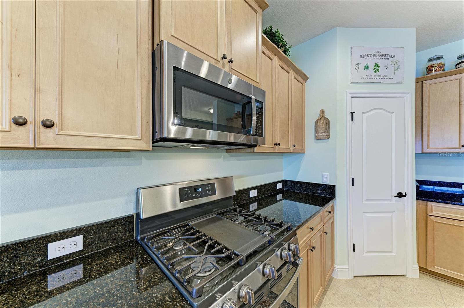 4716 FOXTAIL DR, PARRISH, FL, 34219