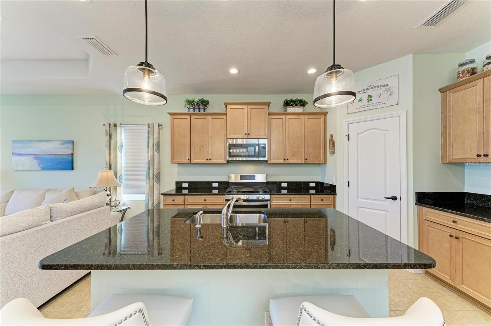 4716 FOXTAIL DR, PARRISH, FL, 34219