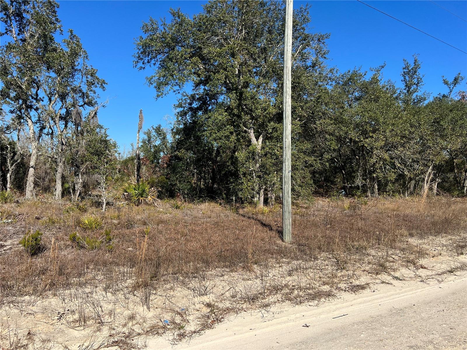 NE 62 LN, WILLISTON, FL, 32696