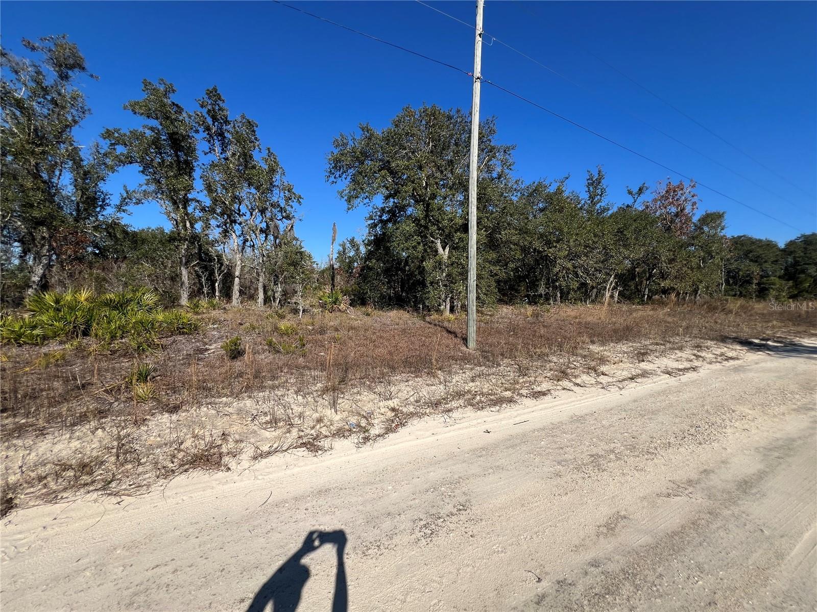 NE 62 LN, WILLISTON, FL, 32696