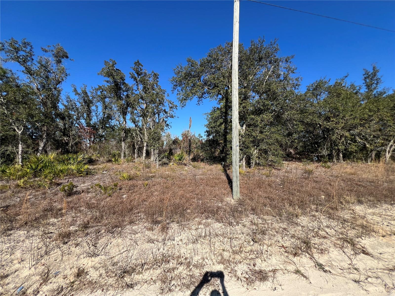 NE 62 LN, WILLISTON, FL, 32696