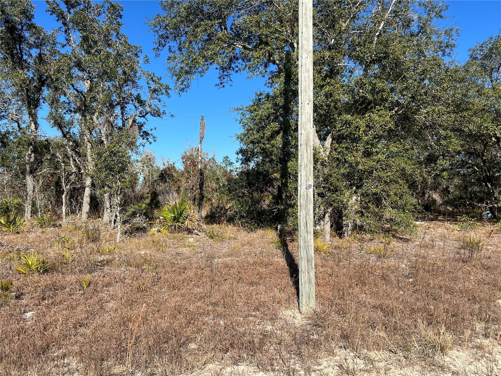 NE 62 LN, WILLISTON, FL, 32696