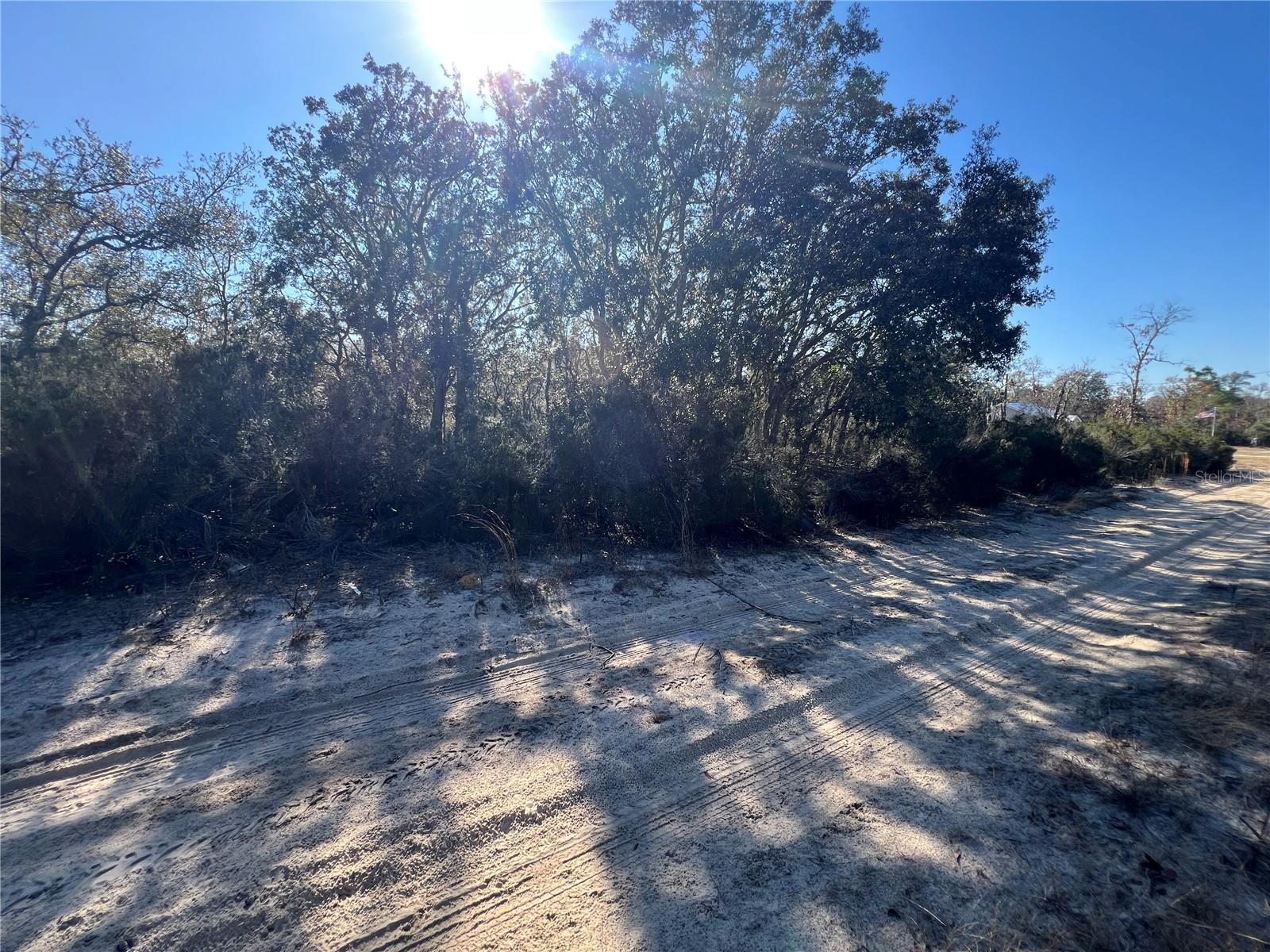 NE 67 LN, WILLISTON, FL, 32696