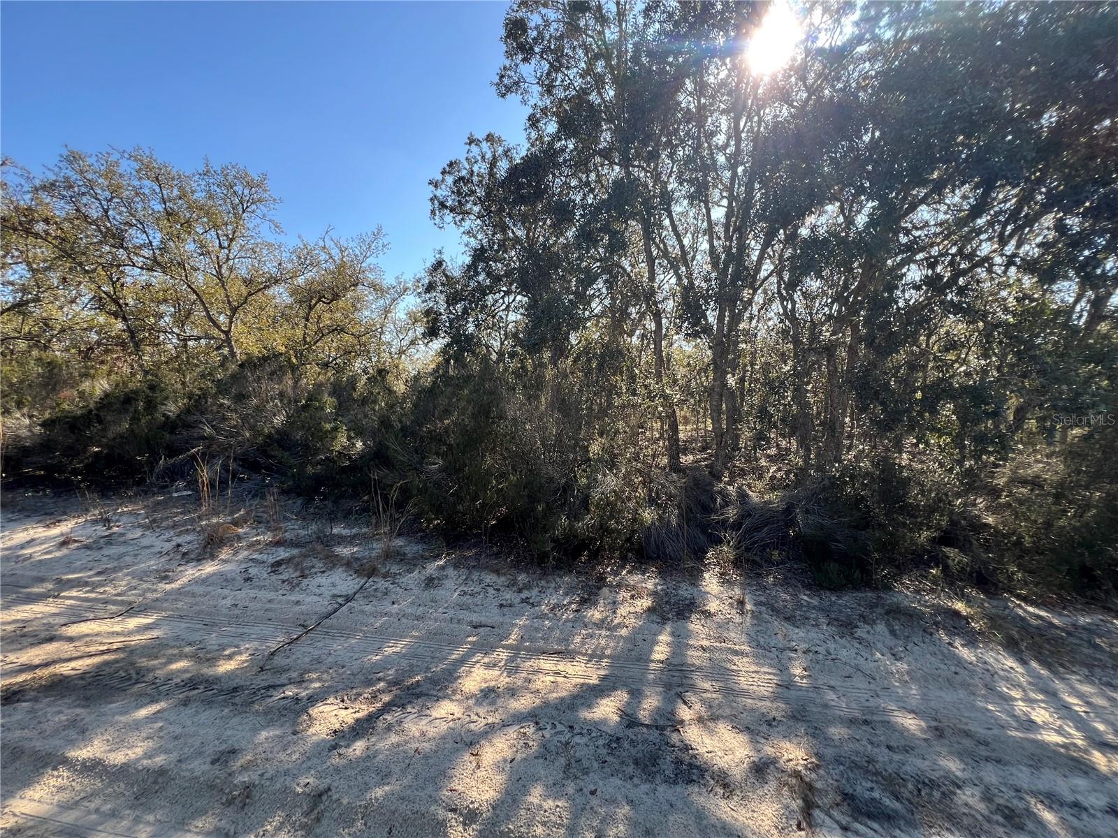 NE 67 LN, WILLISTON, FL, 32696