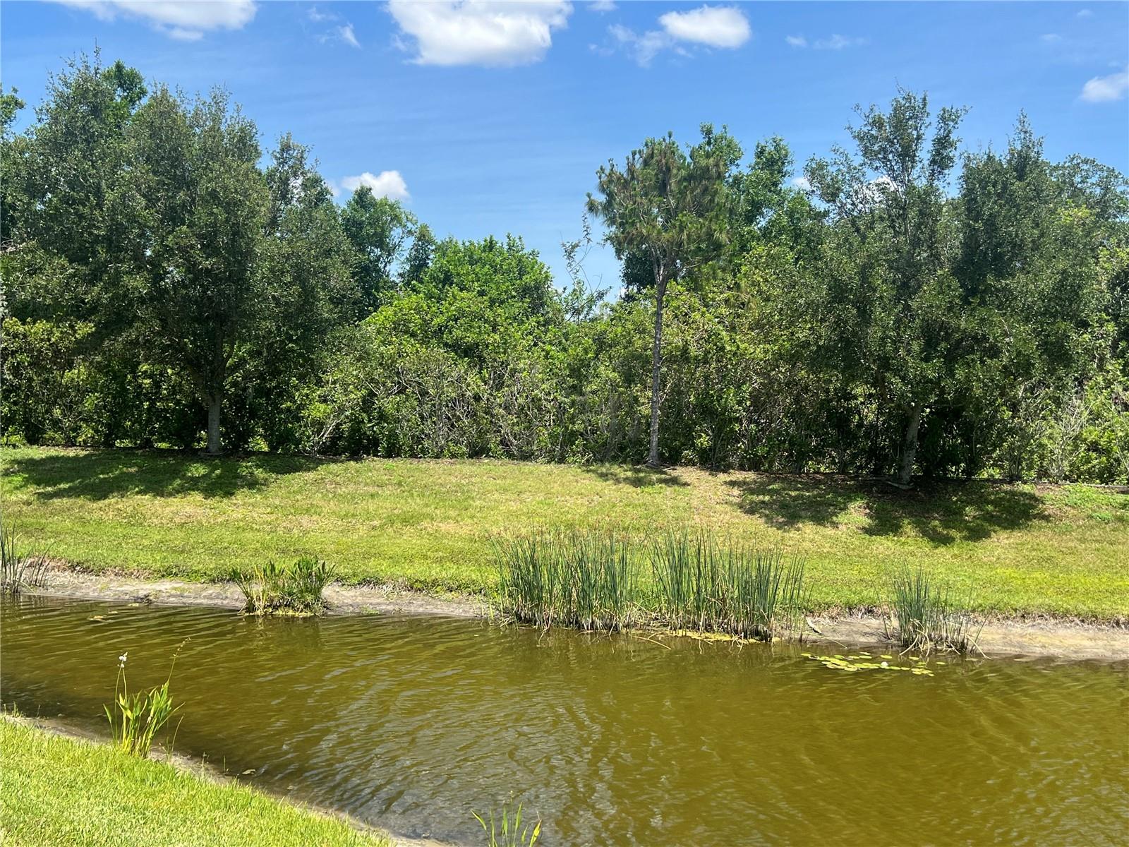 9912 SHELTERING SPRUCE ST, ENGLEWOOD, FL, 34223