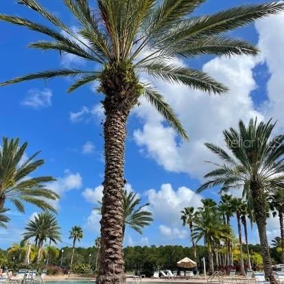 2937 BELLA FLORE TER, NEW SMYRNA BEACH, FL, 32168