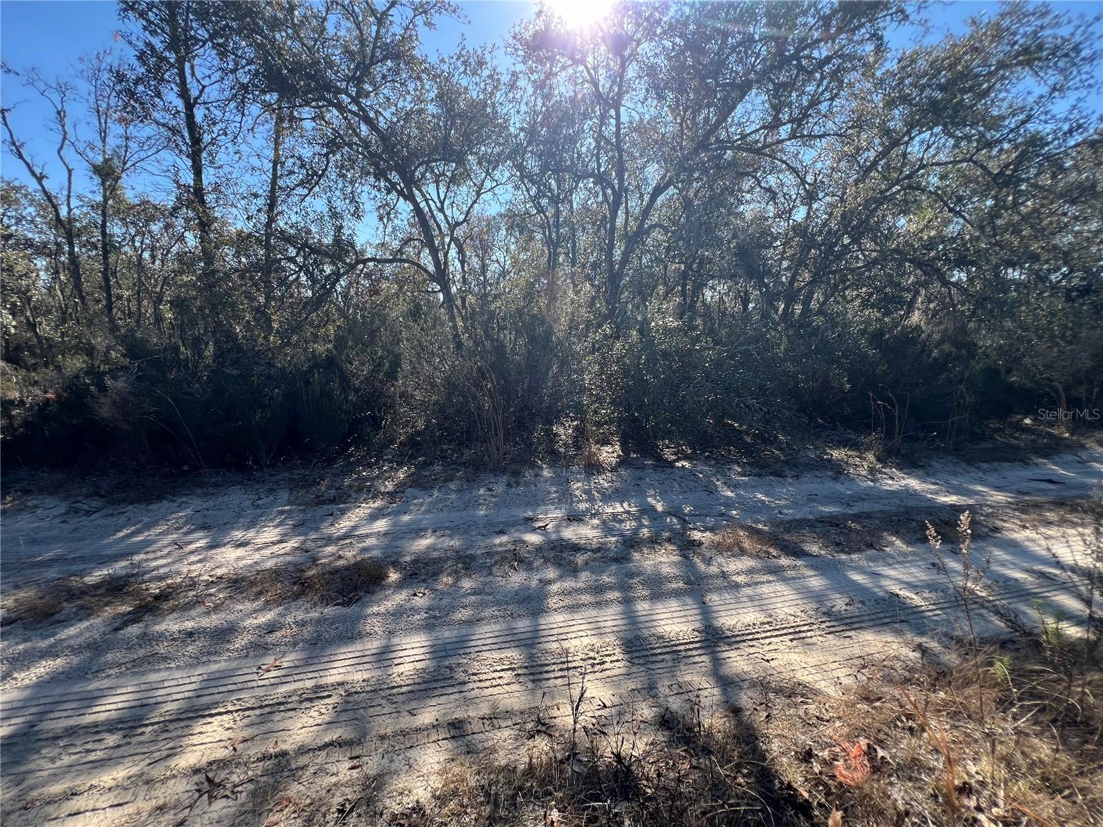 NE 67 LN, WILLISTON, FL, 32696