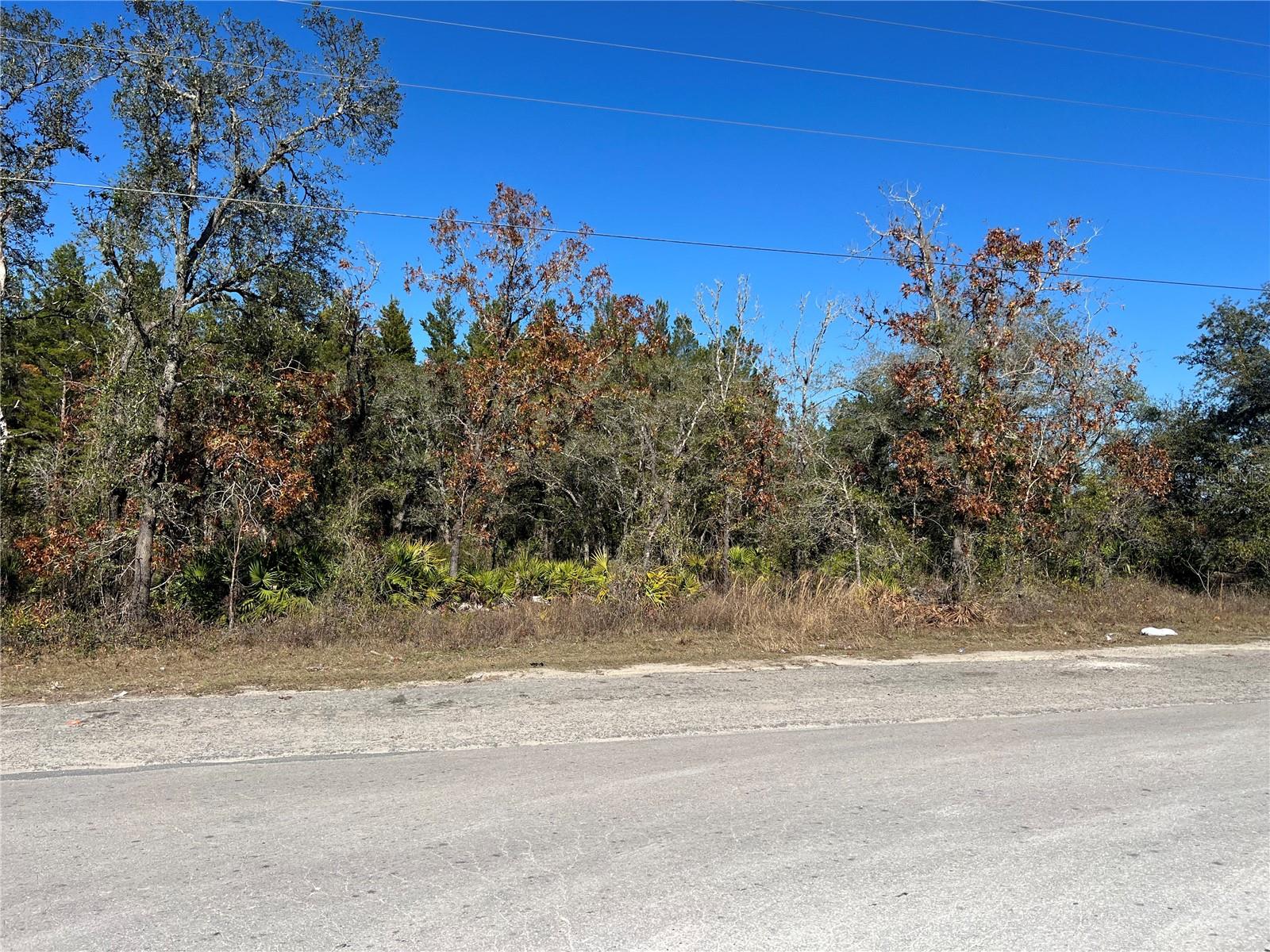 NE 69 LN, WILLISTON, FL, 32696