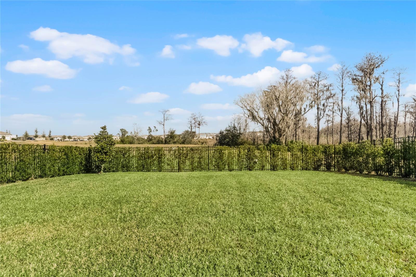 12545 CHARMED DR, WINTER GARDEN, FL, 34787