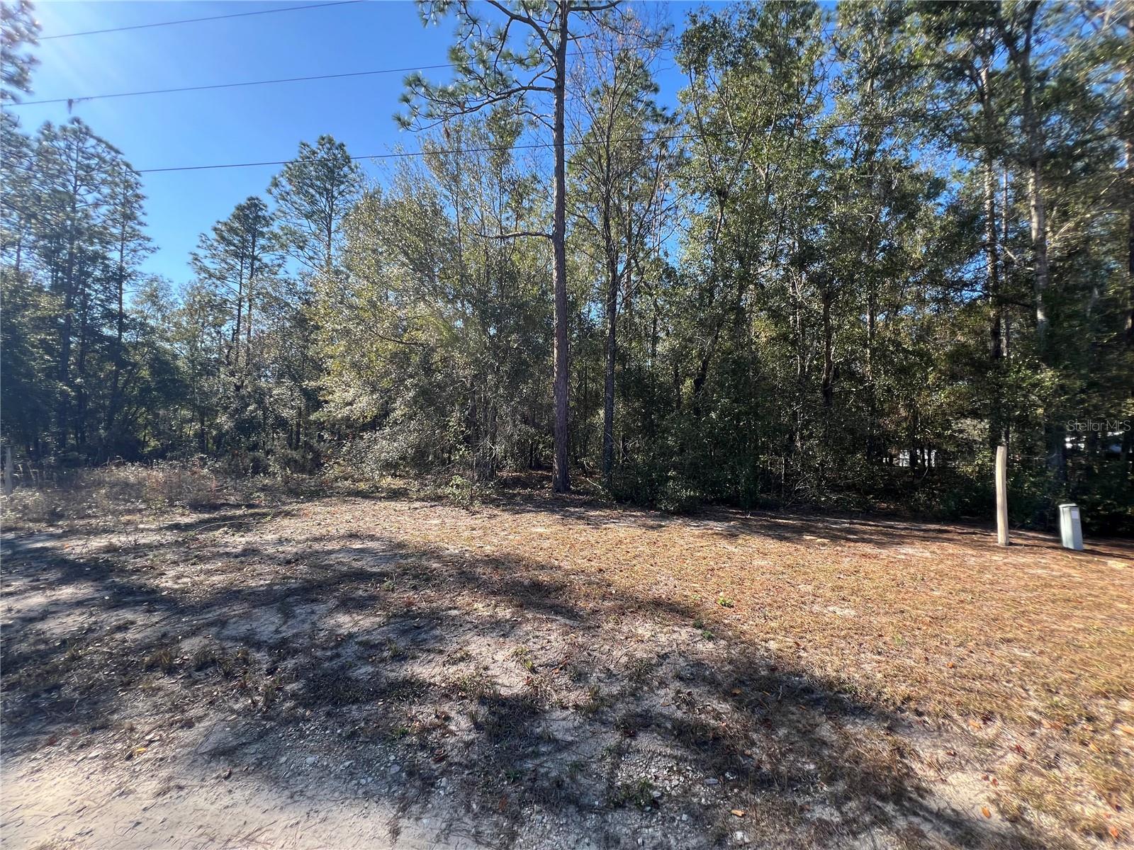 NE 93 AVE, BRONSON, FL, 32621