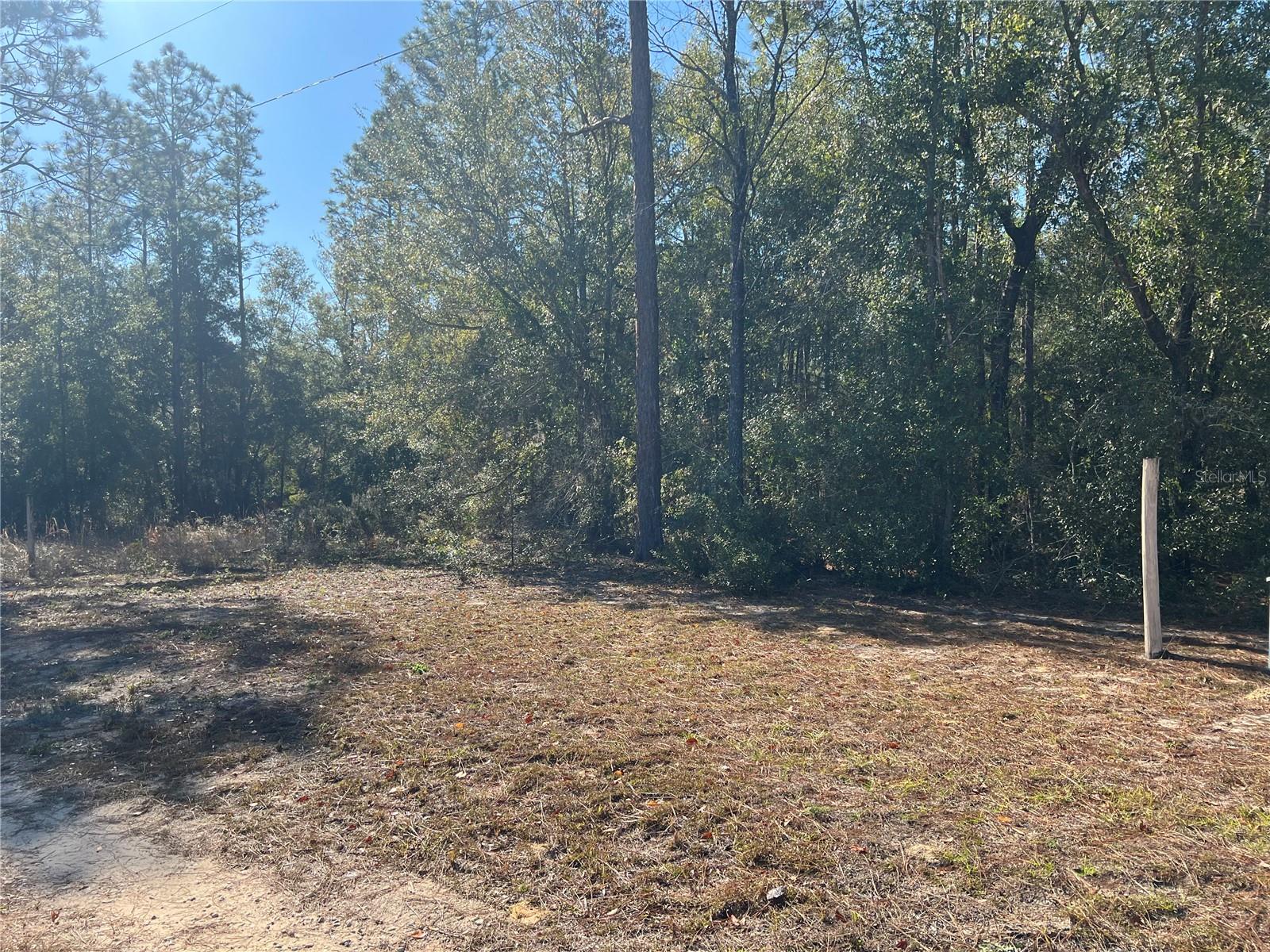 NE 93 AVE, BRONSON, FL, 32621