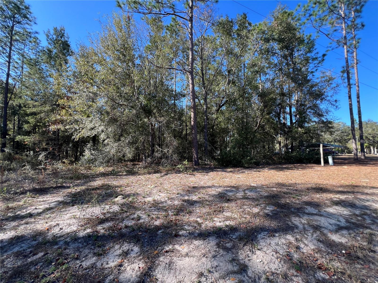 NE 93 AVE, BRONSON, FL, 32621