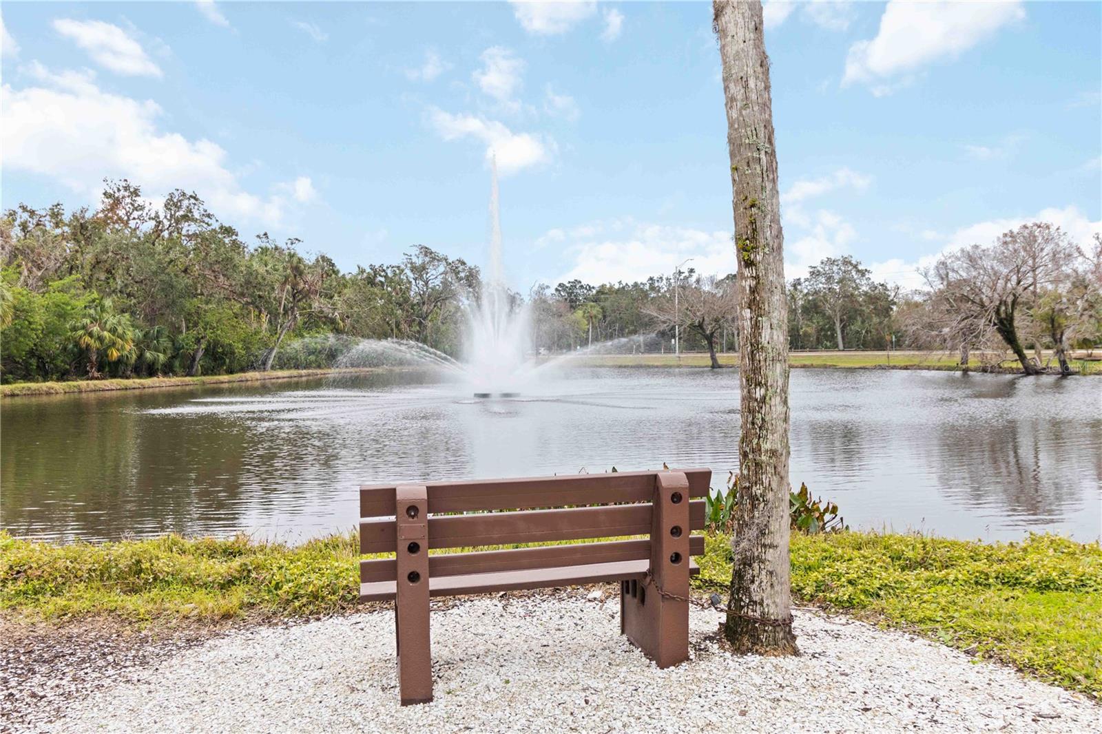 4688 RINGWOOD MDW #56, SARASOTA, FL, 34235