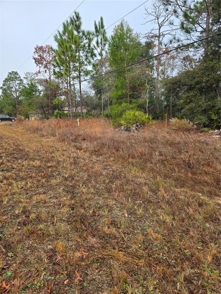 2139 W PARAGON LN, CITRUS SPRINGS, FL, 34434