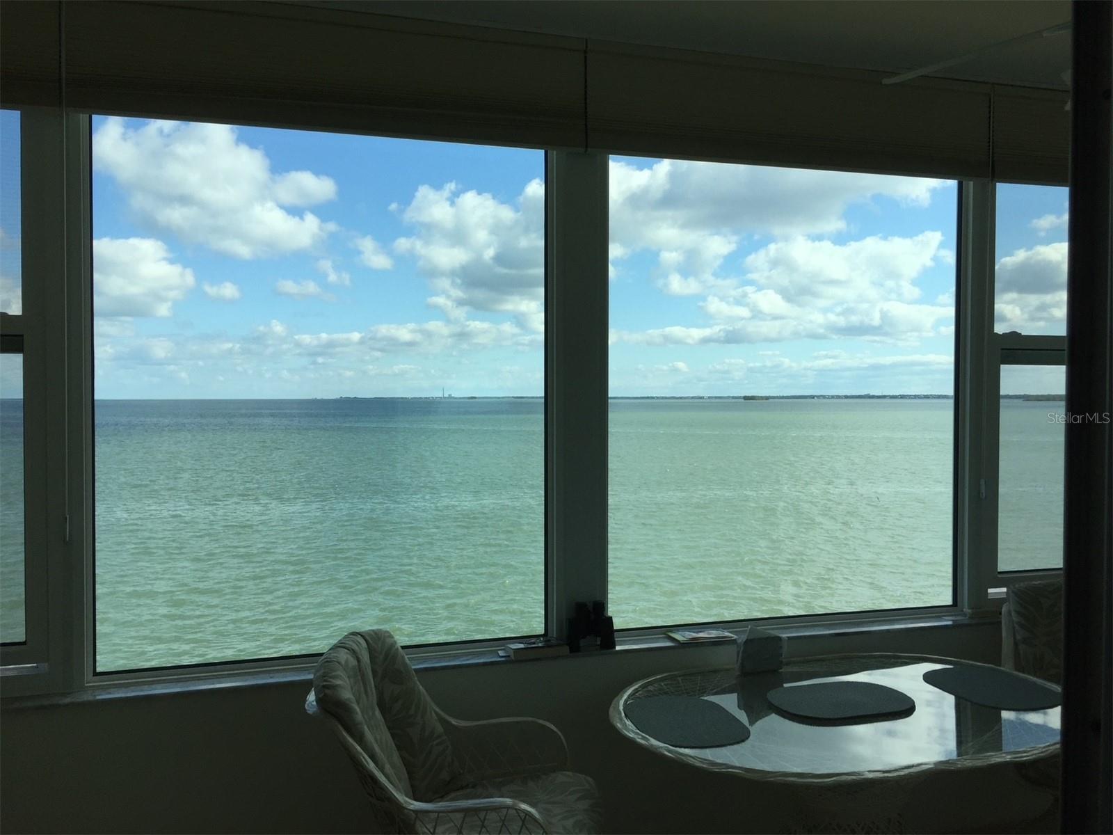 7 DUNOON PL #303, DUNEDIN, FL, 34698