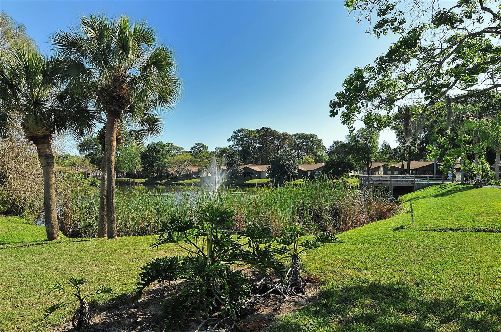 205 OAK HILL DR #7, SARASOTA, FL, 34232