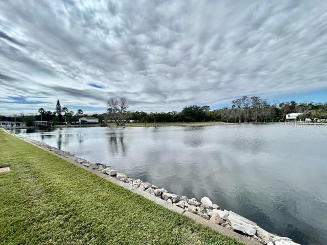10819 UNION DR, PORT RICHEY, FL, 34668