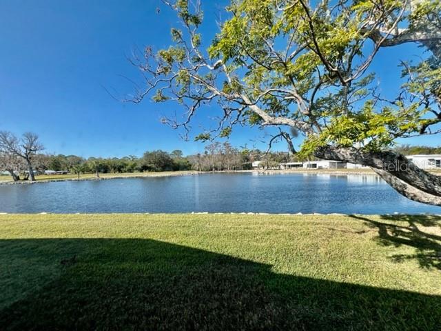 10819 UNION DR, PORT RICHEY, FL, 34668