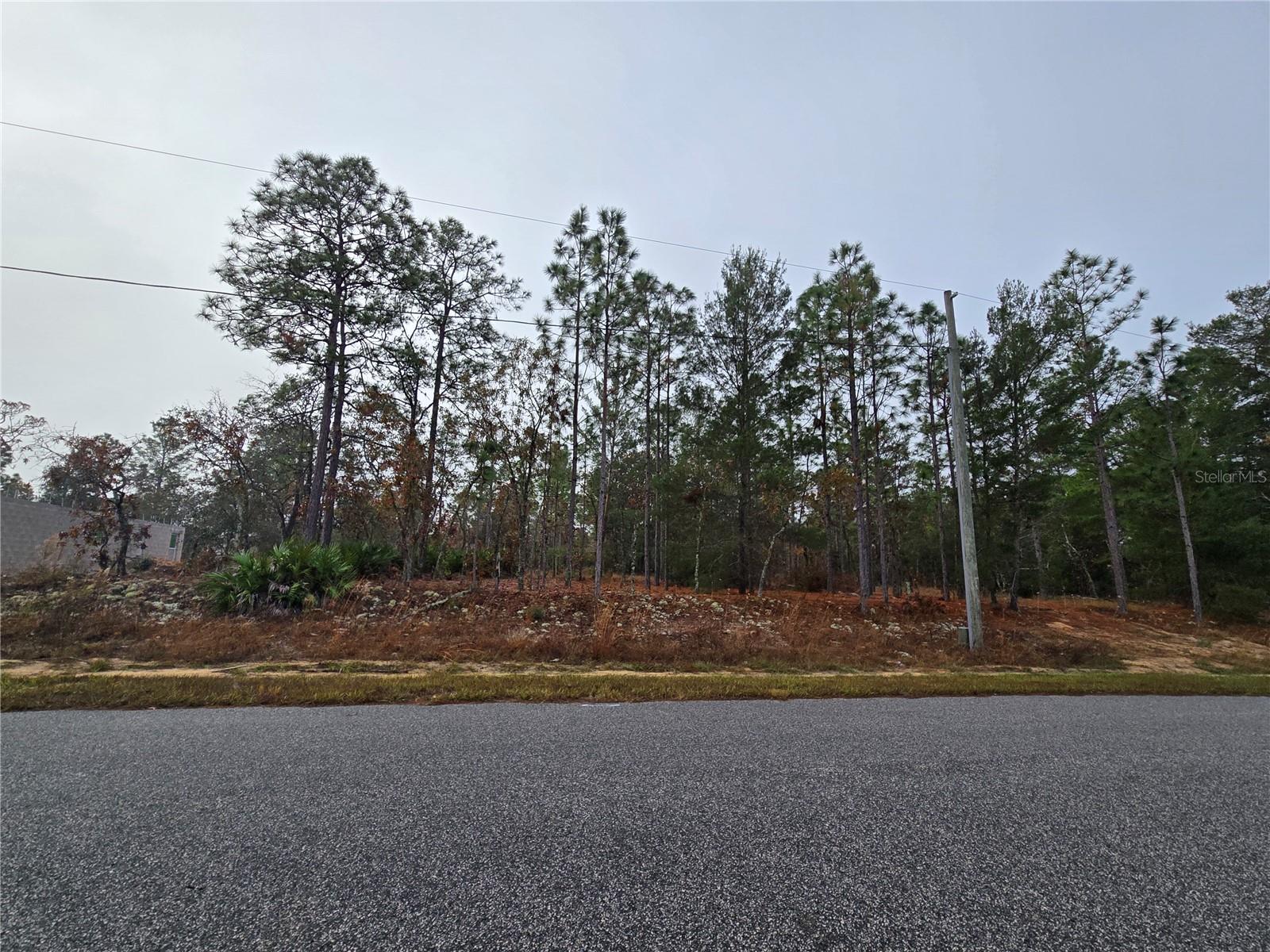 3308 W EUNICE DR, DUNNELLON, FL, 34433