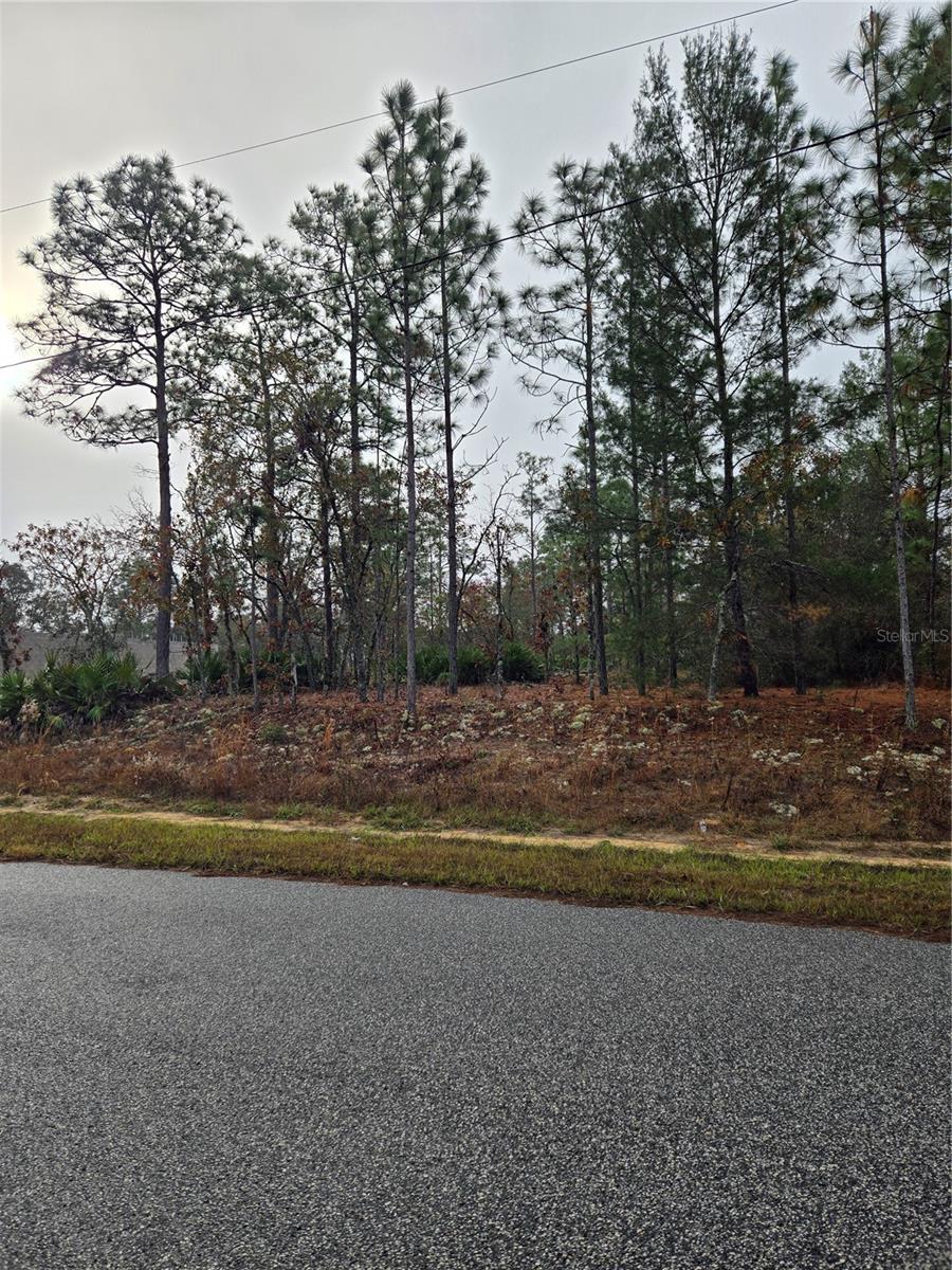 3308 W EUNICE DR, DUNNELLON, FL, 34433