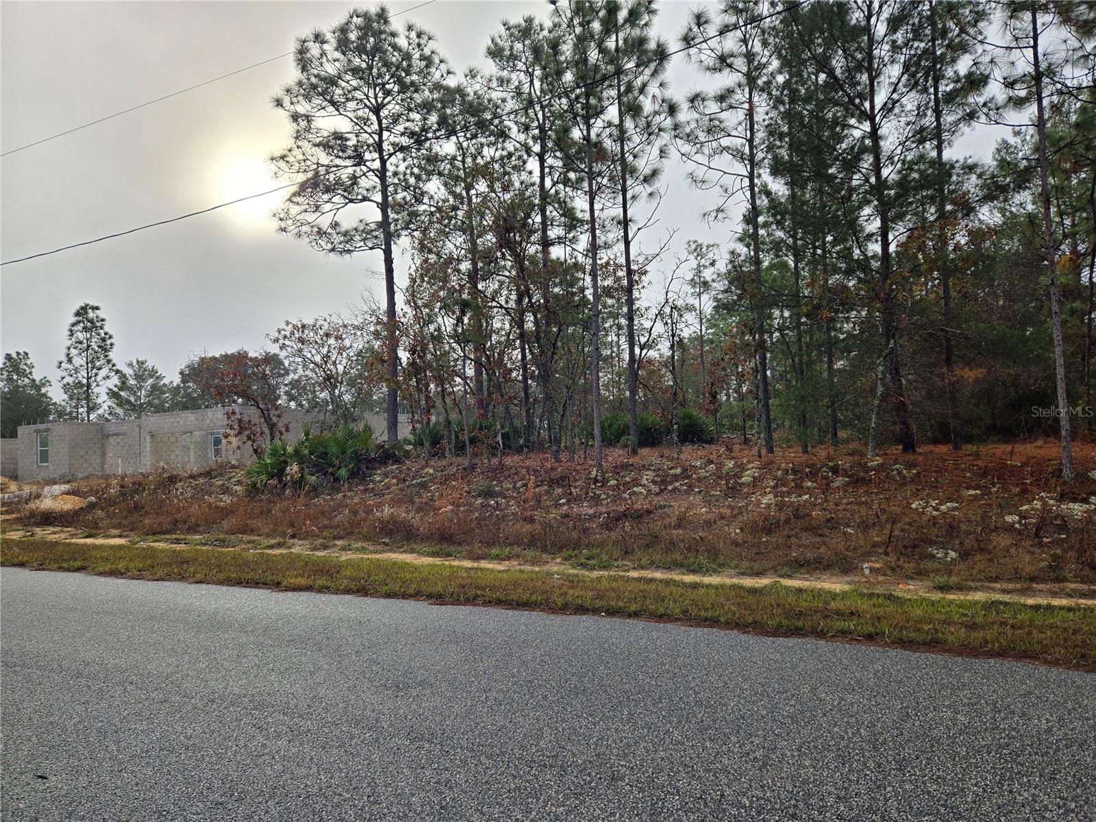 3308 W EUNICE DR, DUNNELLON, FL, 34433