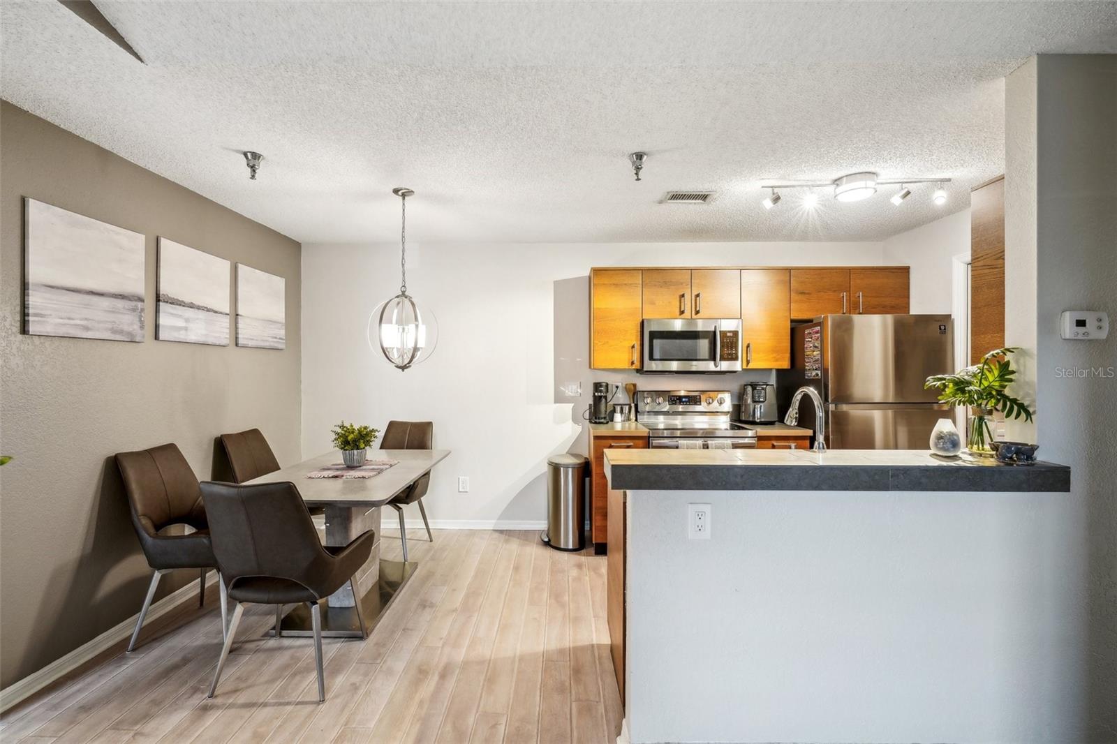 10263 GANDY BLVD N #2206, ST PETERSBURG, FL, 33702