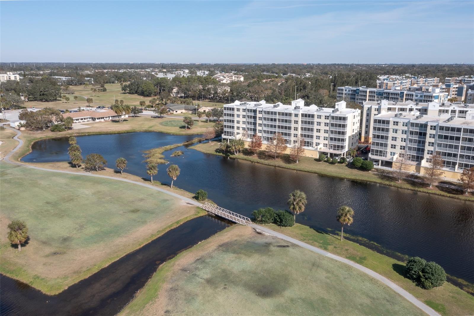 1200 COUNTRY CLUB DR #6206, LARGO, FL, 33771