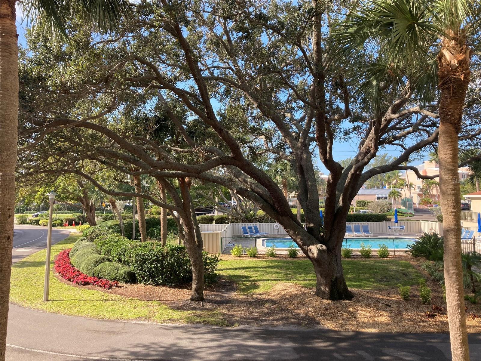 4600 GULF OF MEXICO DR #206, LONGBOAT KEY, FL, 34228