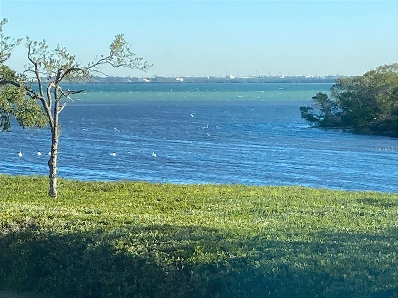 4600 GULF OF MEXICO DR #206, LONGBOAT KEY, FL, 34228
