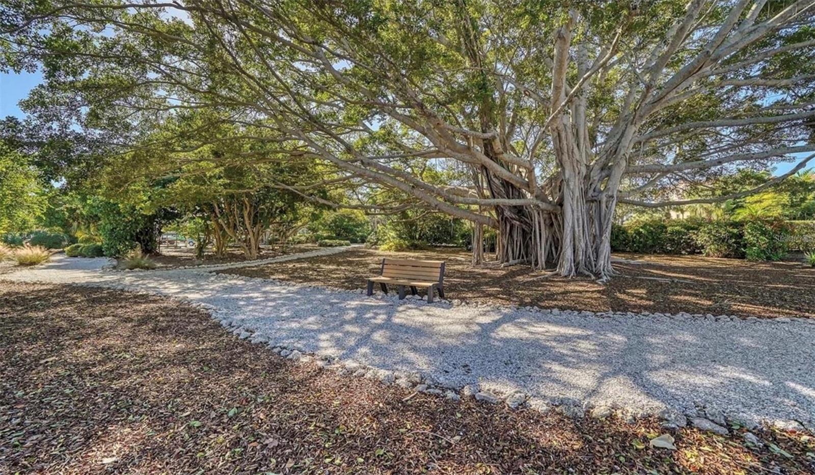 4600 GULF OF MEXICO DR #206, LONGBOAT KEY, FL, 34228